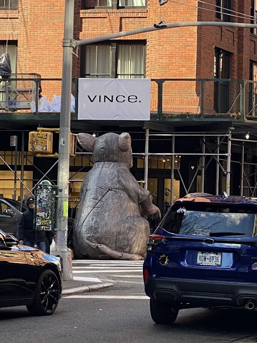 Vince 8