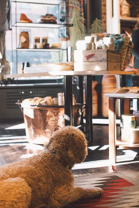 Faherty Bleecker St 3