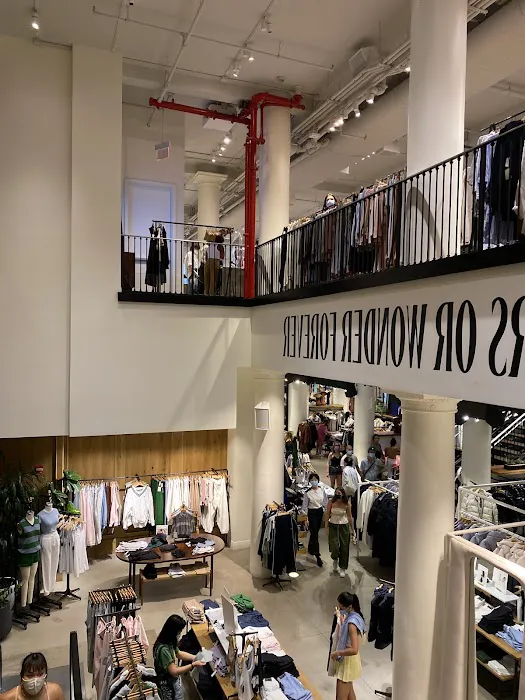 Aritzia 6