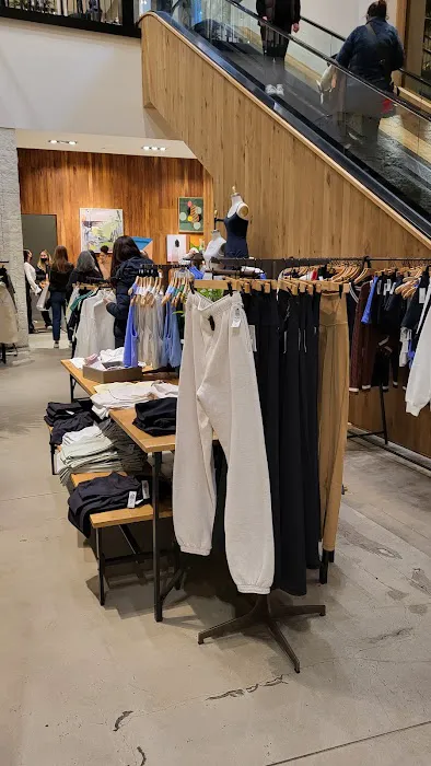 Aritzia 2