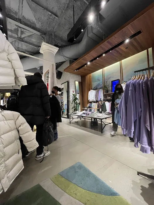 Aritzia 1