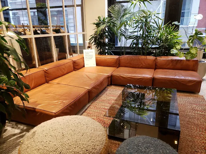 Aritzia 3