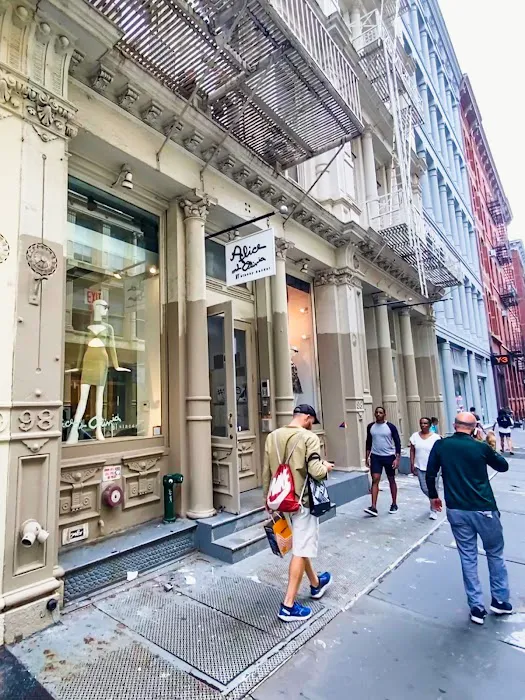 alice + olivia 3