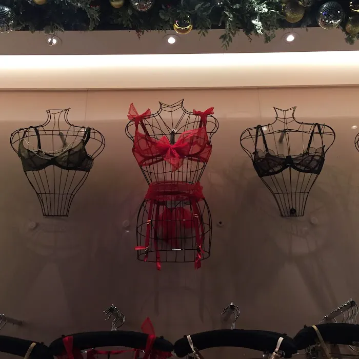 Agent Provocateur 6