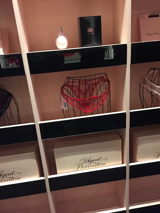 Agent Provocateur 1