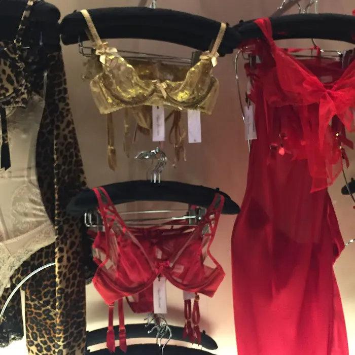Agent Provocateur 2