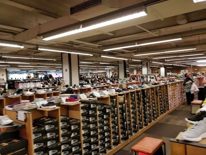 Burlington 7
