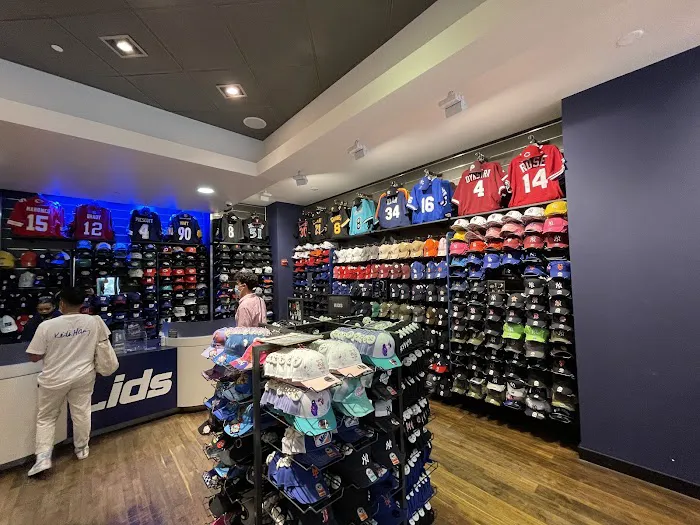 Lids 7