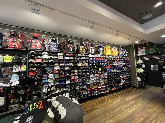 Lids 4