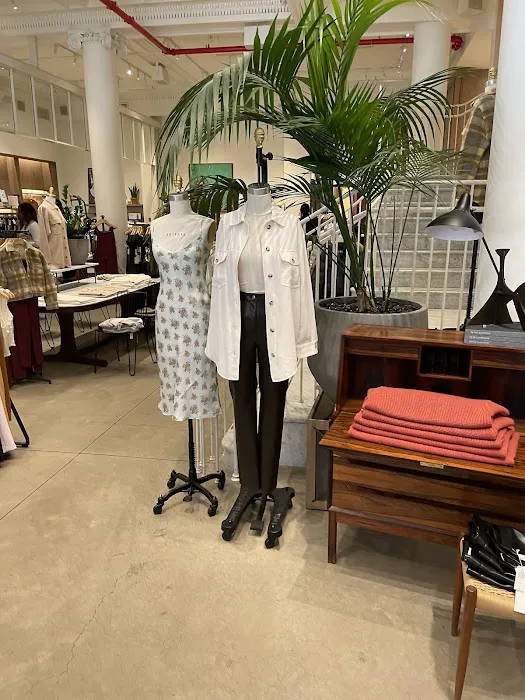 Aritzia 4