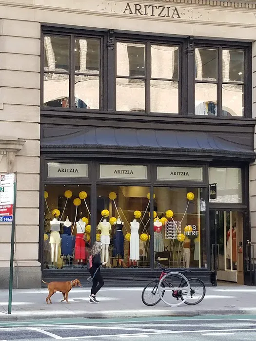 Aritzia 9