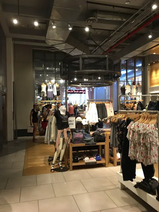 American Eagle 2