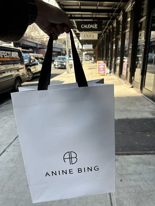 ANINE BING 3