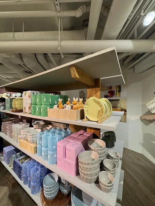 Anthropologie 5