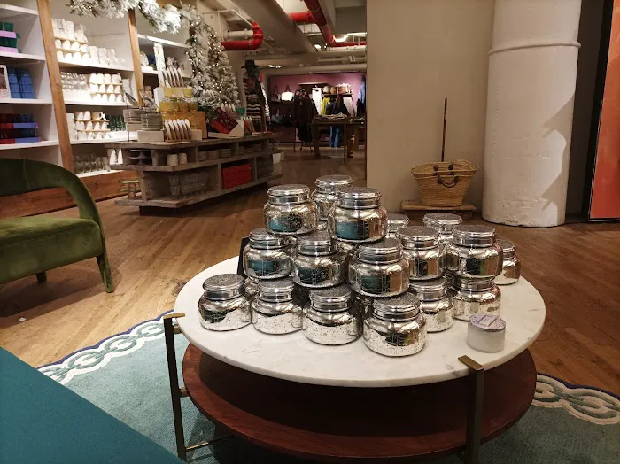 Anthropologie 3