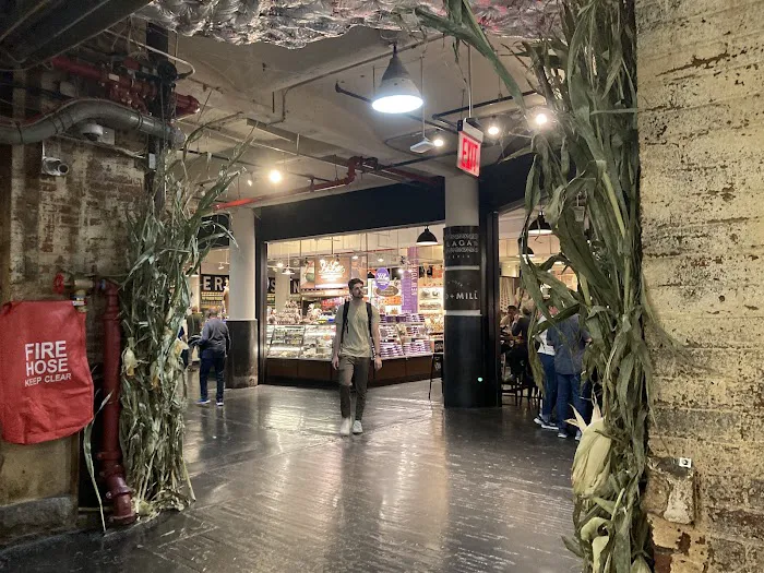 Anthropologie 0