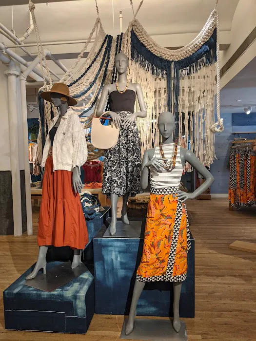 Anthropologie 1