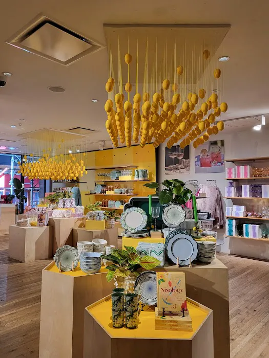 Anthropologie 2