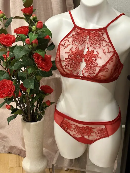 Sugar Cookies Lingerie 7