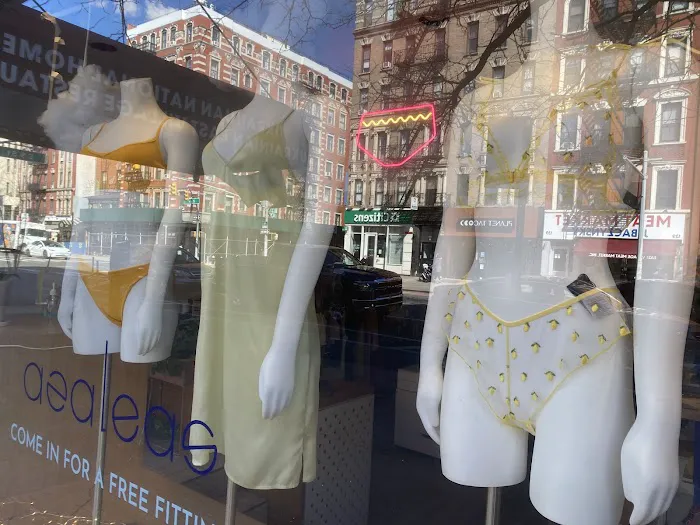 Azaleas - Lingerie + Swimwear Boutique 5