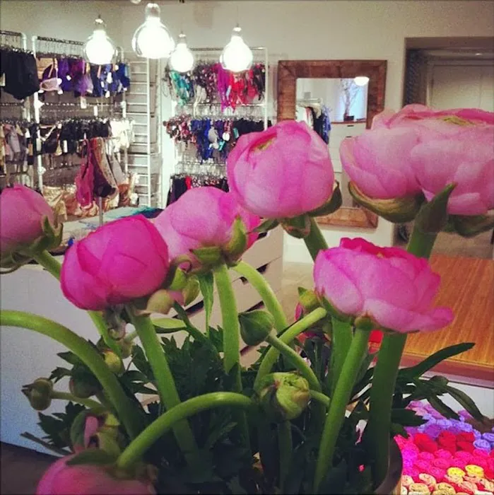 Azaleas - Lingerie + Swimwear Boutique 8
