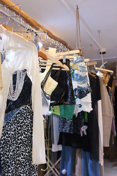Monkey Thrift Shop Up Cycling 4
