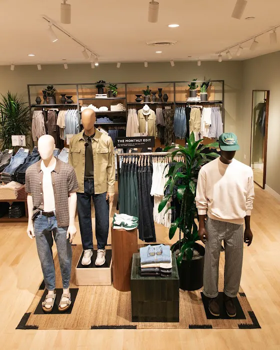 Madewell 6