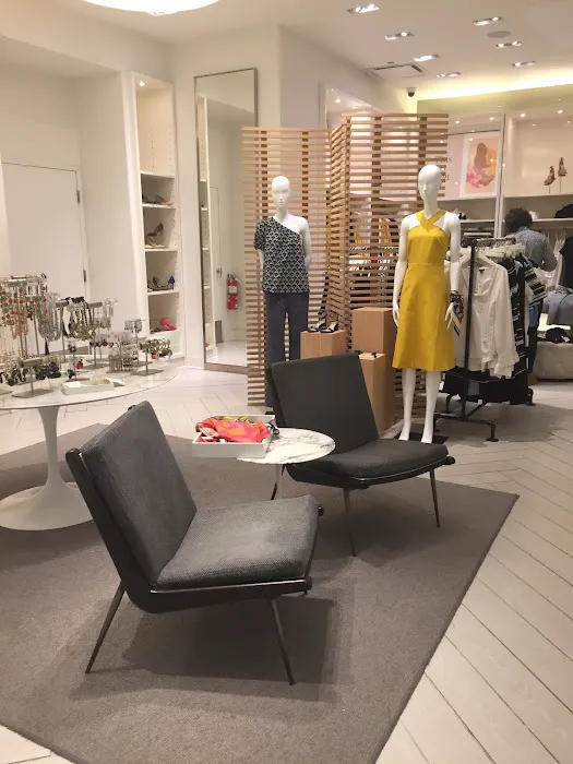 Ann Taylor 5