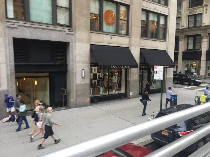 Ann Taylor 9