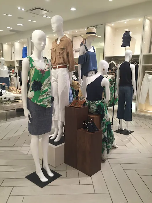 Ann Taylor 3
