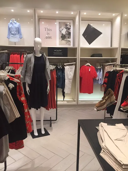 Ann Taylor 2