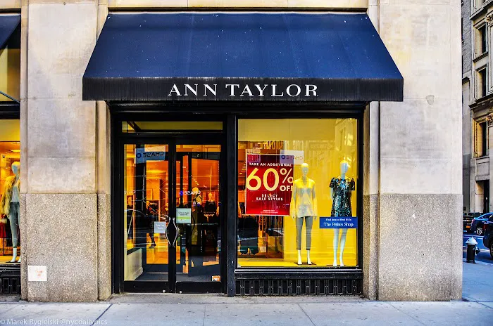 Ann Taylor 8