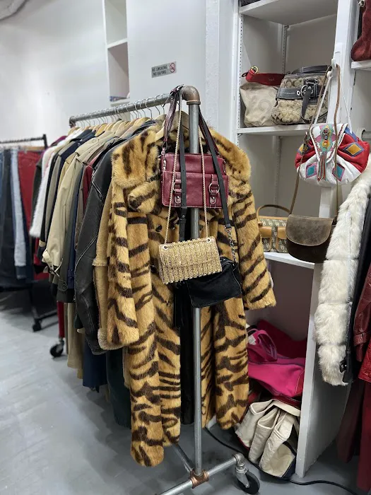Project Vintage 0