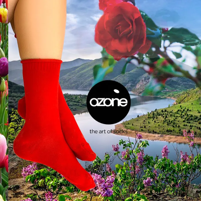 Ozone Design Inc. 7