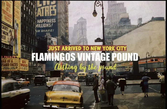 Flamingo’s Vintage Pound 9