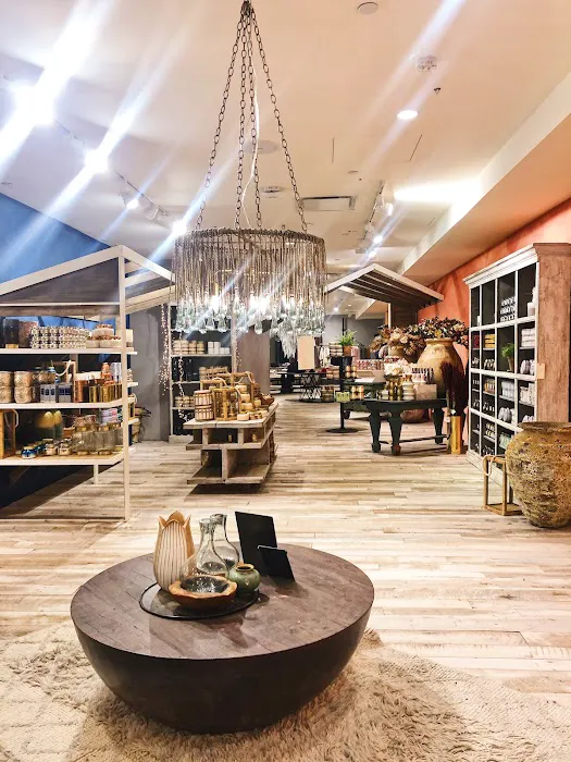 Anthropologie 4