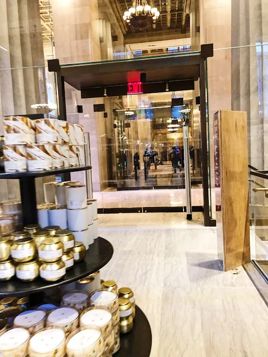 Anthropologie 2