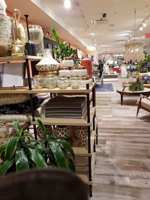 Anthropologie 8