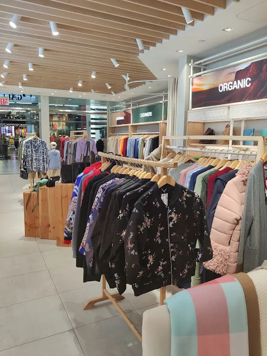Mongolian Gallery Cashmere store 3