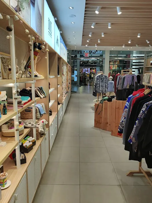 Mongolian Gallery Cashmere store 6