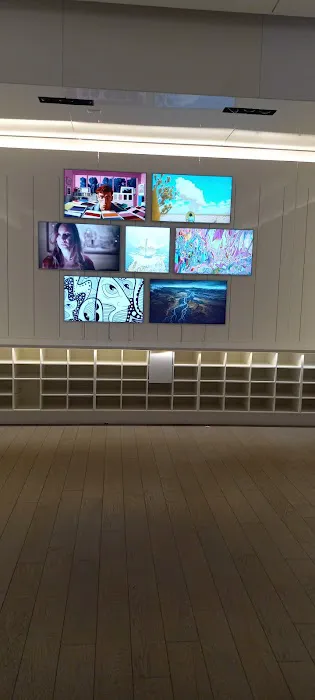 The Canvas 3