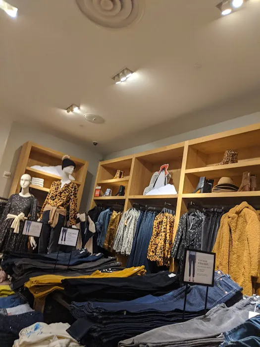 J.Crew 9