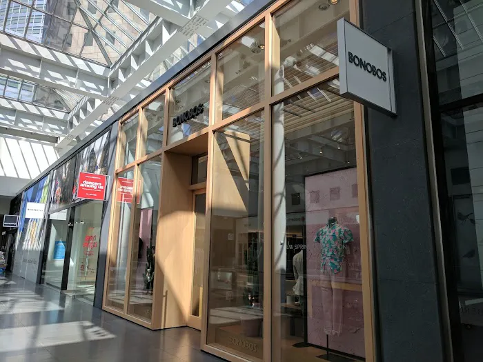 Bonobos 1