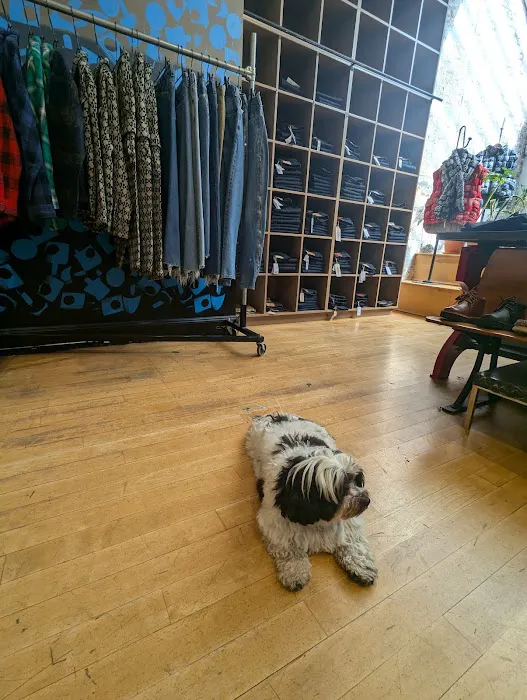Evisu New York 3