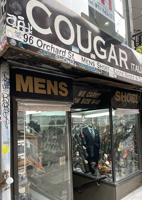 Cougar Italian Fashion 0