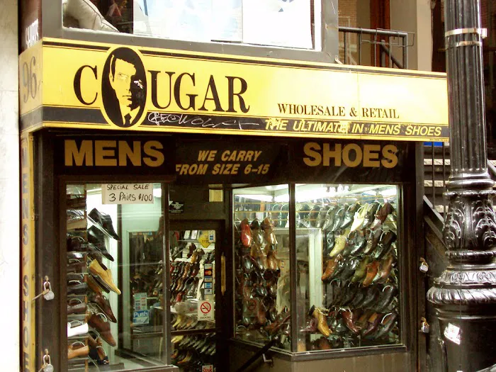Cougar Italian Fashion 1