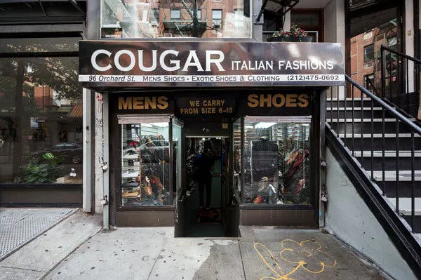 Cougar Italian Fashion 2