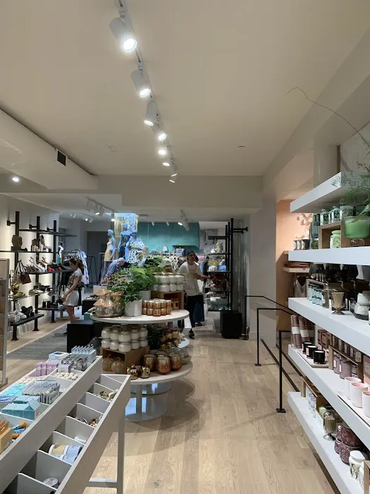Anthropologie 2