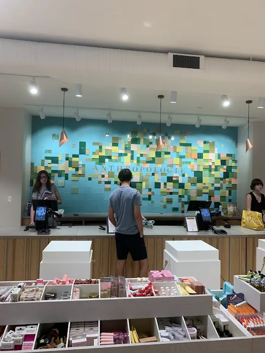 Anthropologie 1