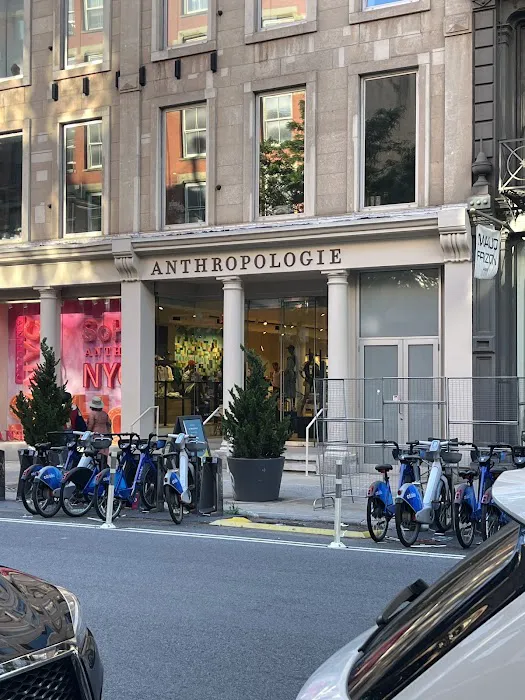 Anthropologie 4